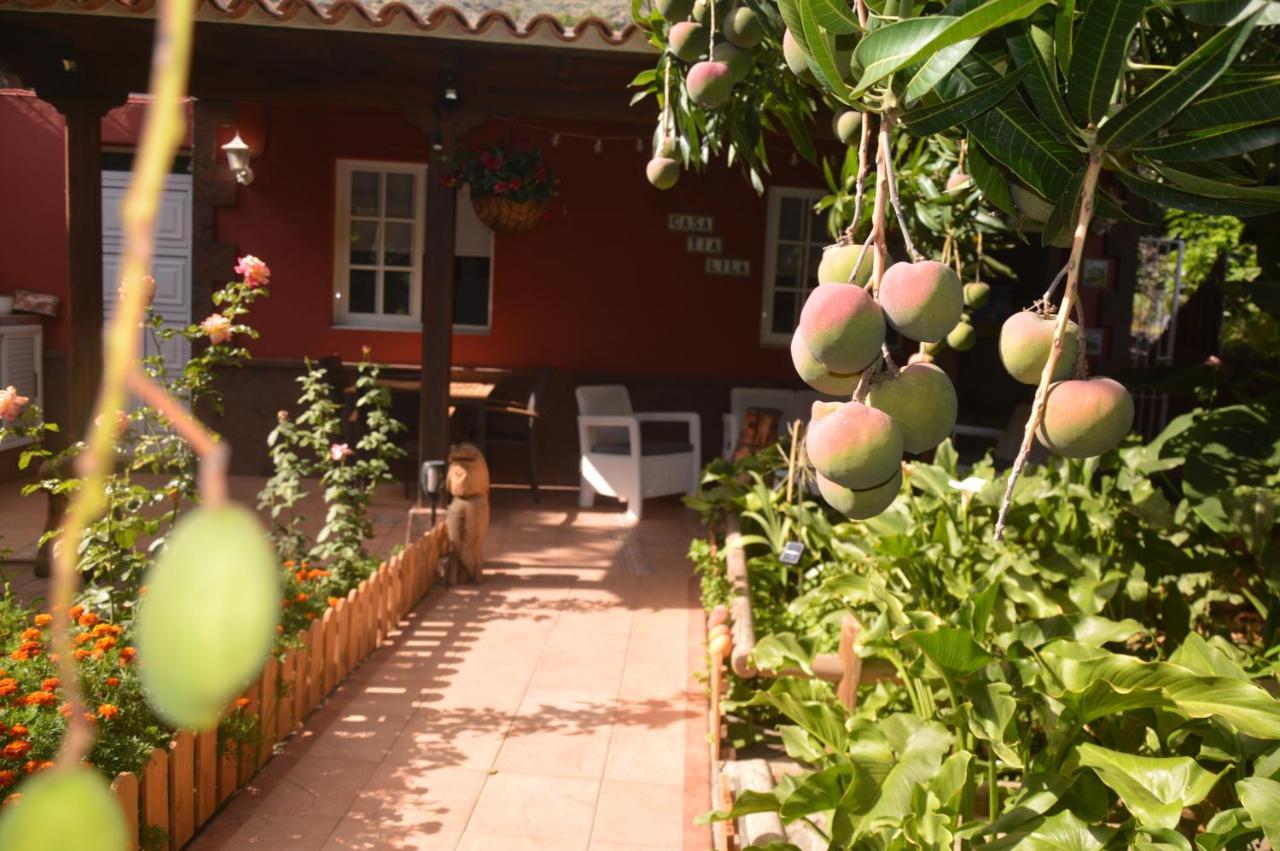 Holiday House Tia Lila San Sebastián de la Gomera エクステリア 写真